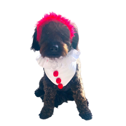 Disfraz de Payaso 2 (Its)