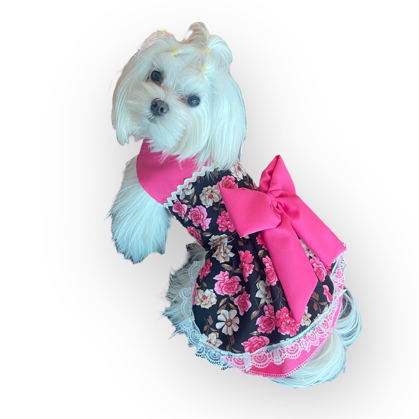 Vestido perrita- gatita: China Dieciochera (Angosto)