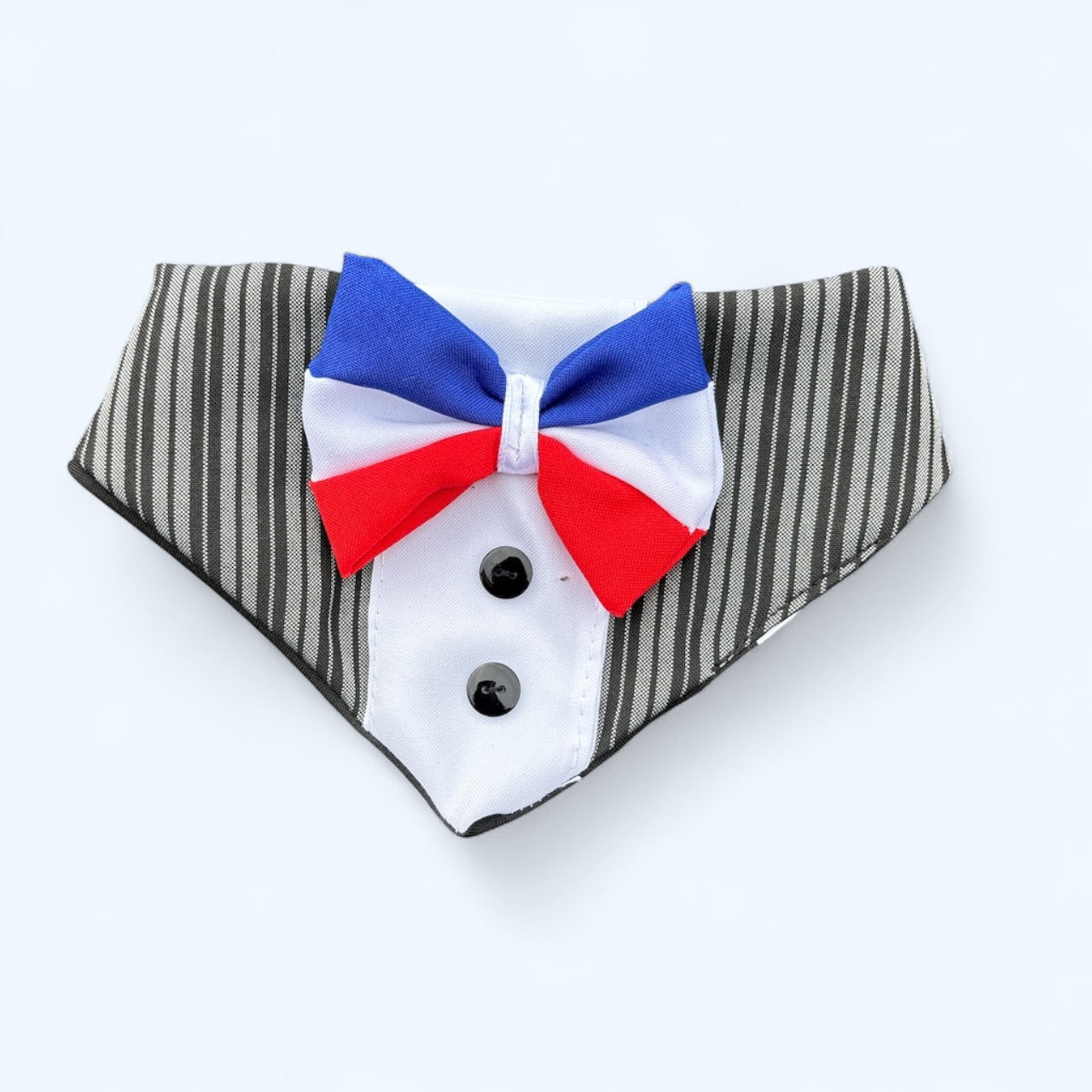 Bandana Mascotas de Huaso Rayado