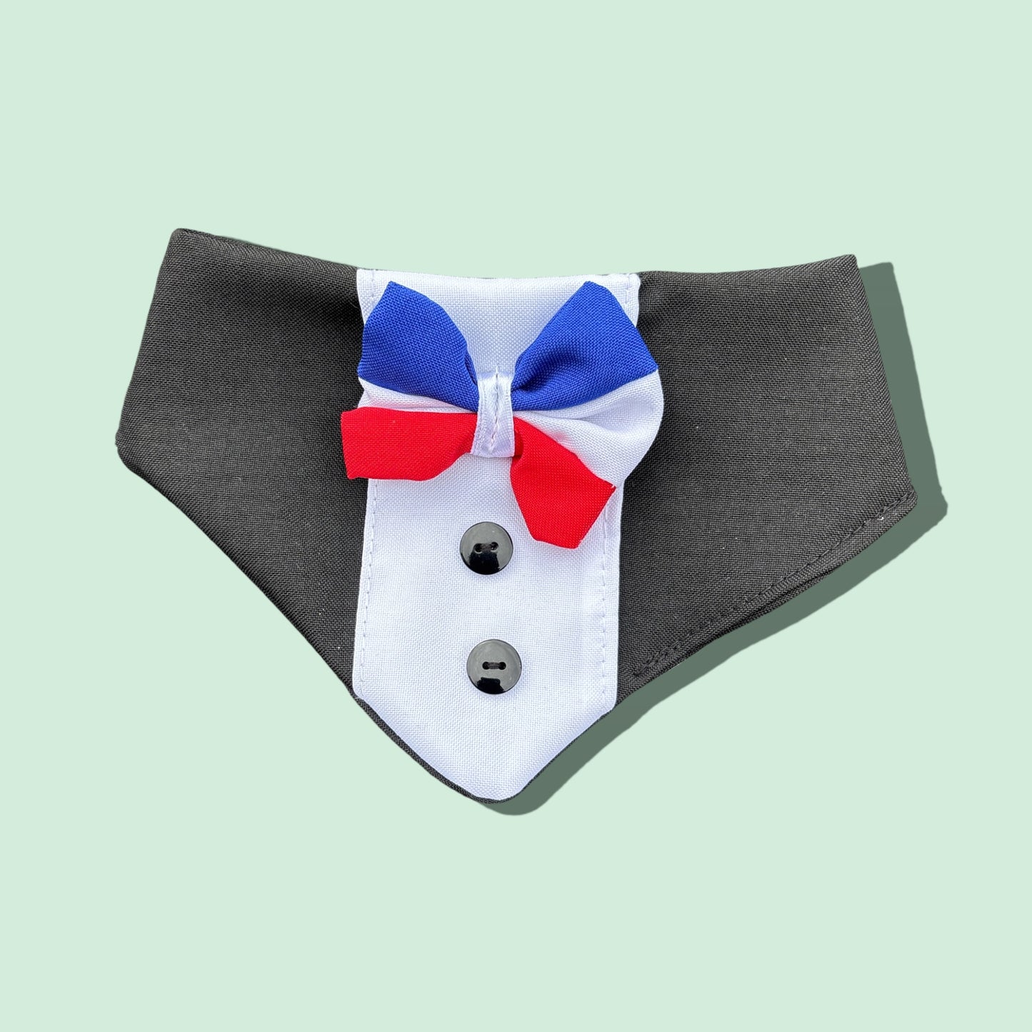 Pañuelo Perro/ Gato Huaso Elegante