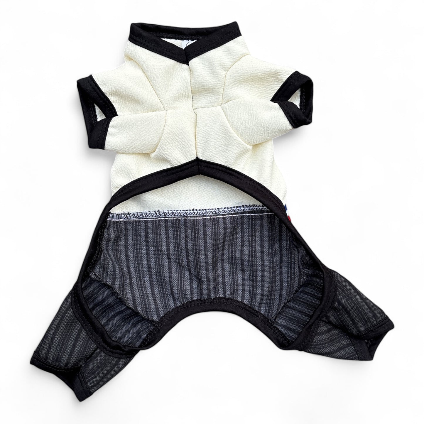 Enterito Huaso Elegante Perro