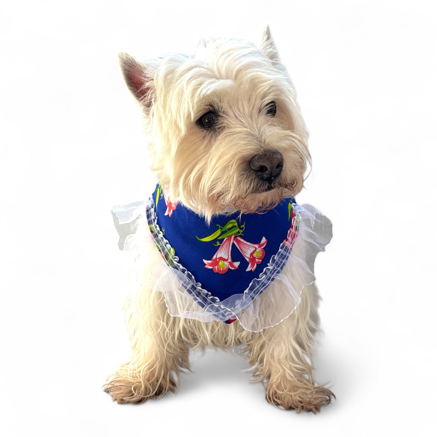 Pañuelo Mascotas de Huasa Floreada