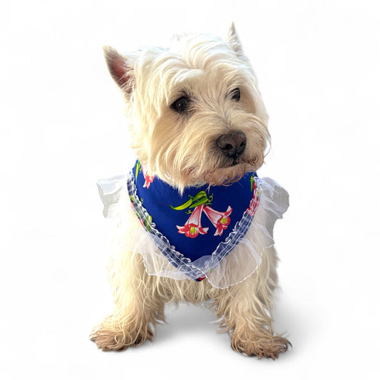 Pañuelo Mascotas de Huasa Floreada