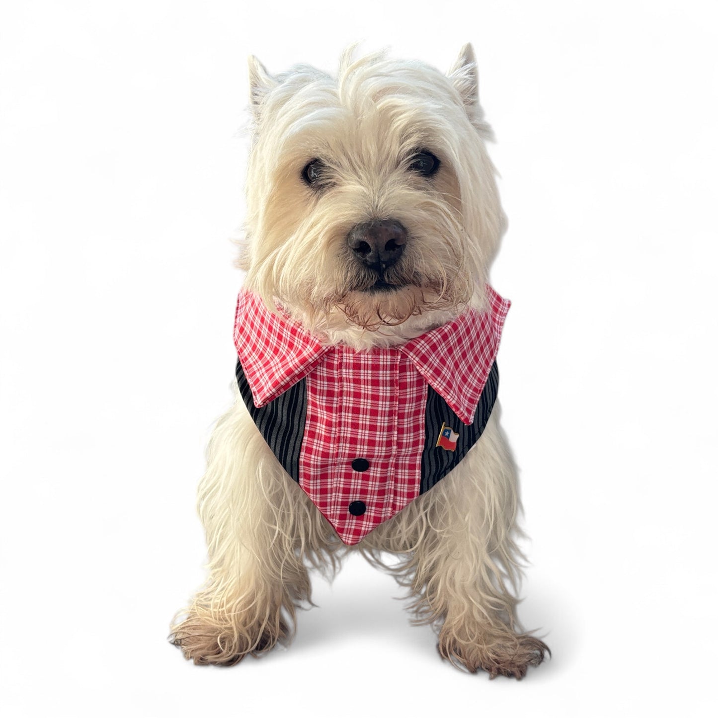 Bandanda Perro- Gato Huaso de Campo (Copia)