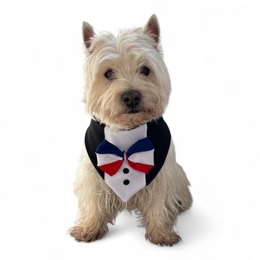 Pañuelo Perro/ Gato Huaso Elegante