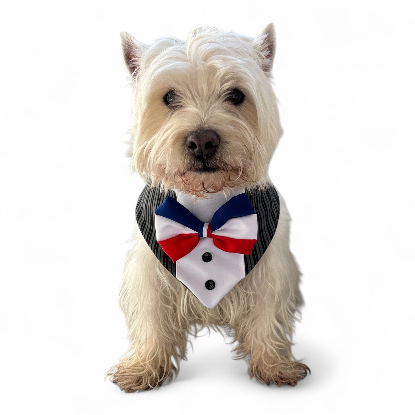 Bandana Mascotas de Huaso Rayado