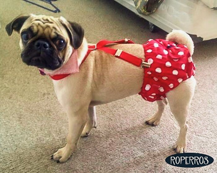 Calzon Celo Minnie