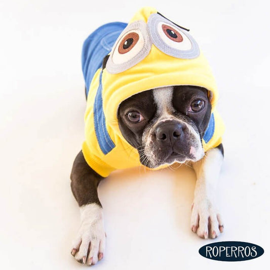 Disfraz Minions Grueso