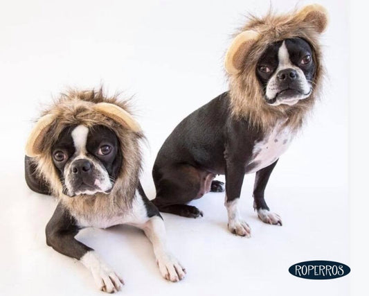 Peluca de León para perros