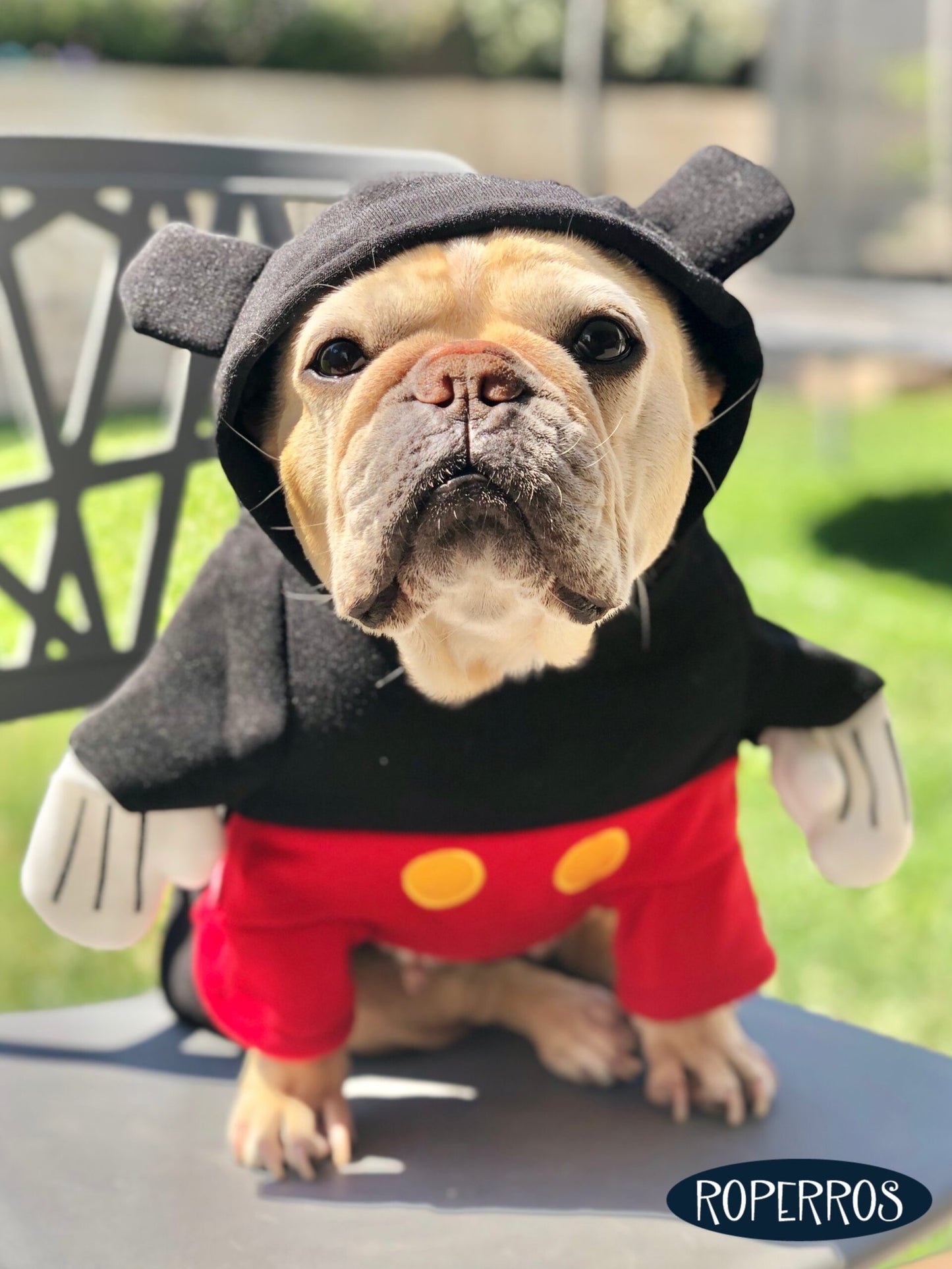 Disfraz Mickey