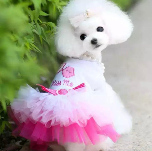 Vestido Tutu