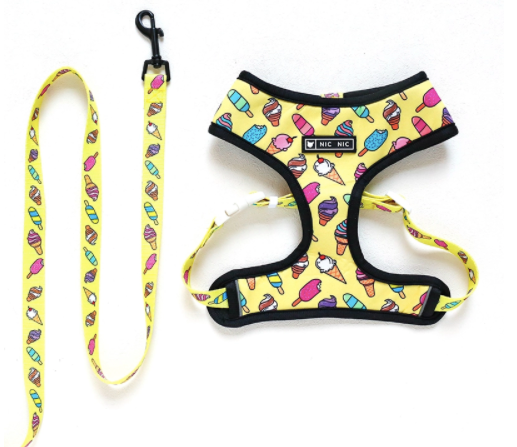 Conjunto Helados