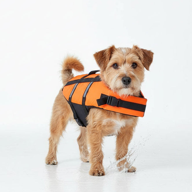 Salvavidas Mascotas