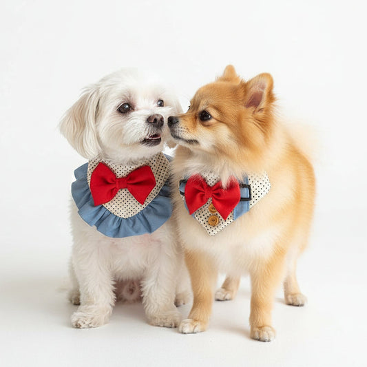 Bandana "Lunares & Moño" para mascotas con estilo