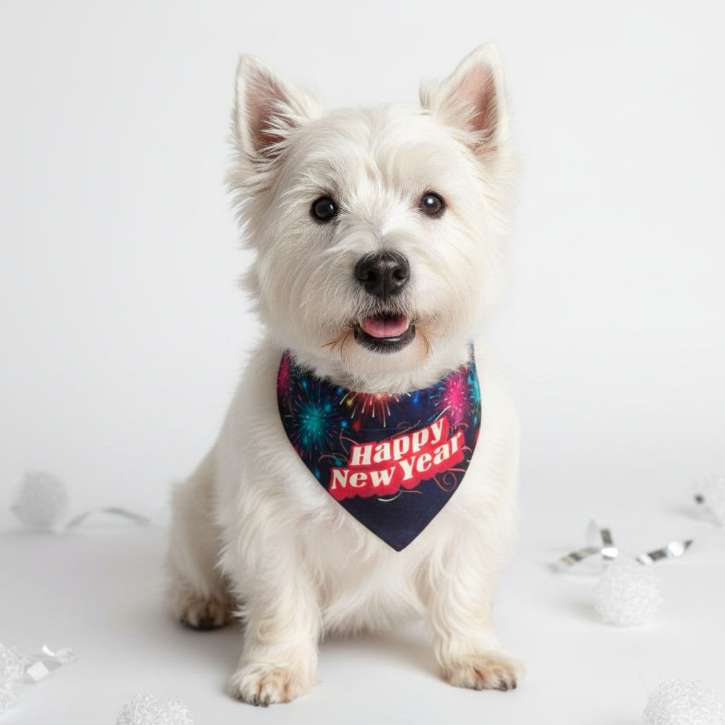 Bandanas Año Nuevo Perro y Gato