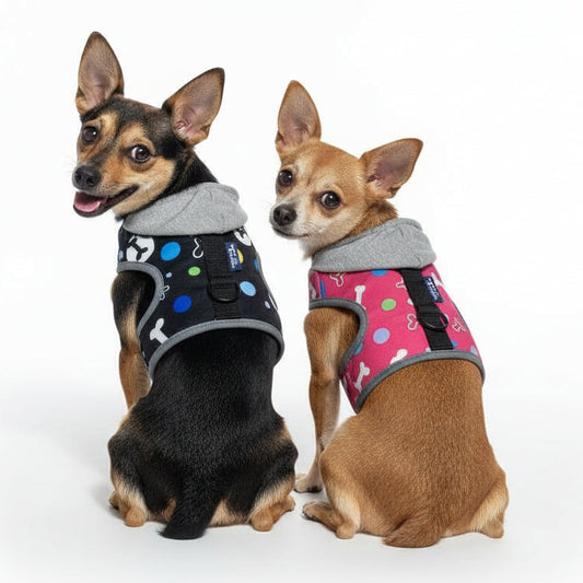 Conjunto Arnés con Gorro