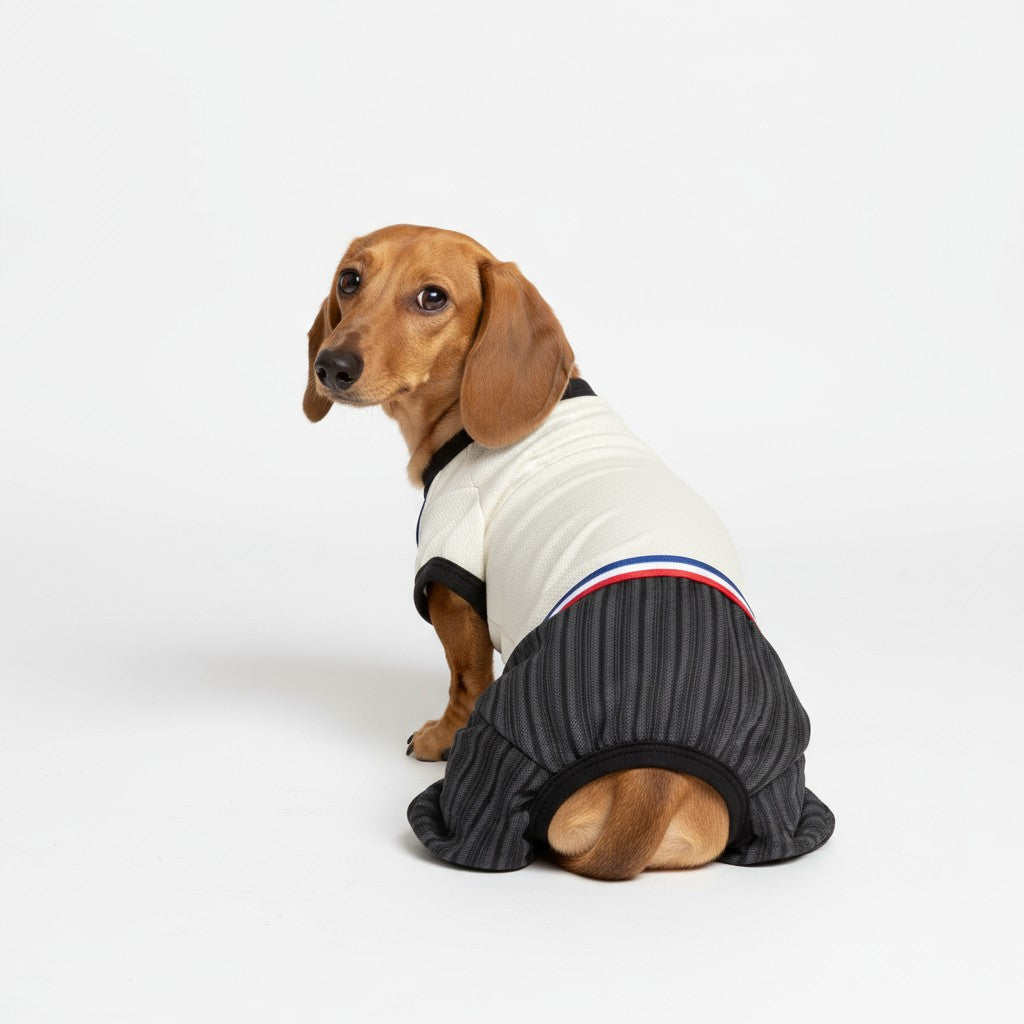 Enterito Huaso Elegante Perro