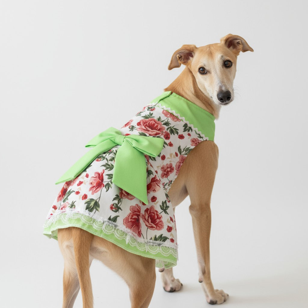 Ropa Fiestas Patrias para perros grandes