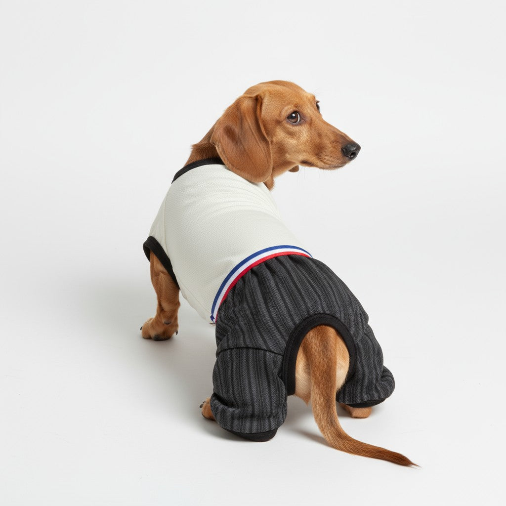 Enterito Huaso Elegante Perro