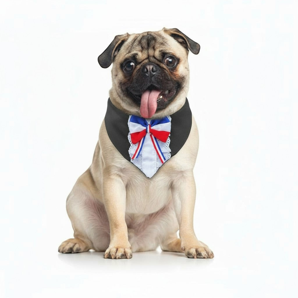 Bandanda Perra- Gata Huasa Elegante