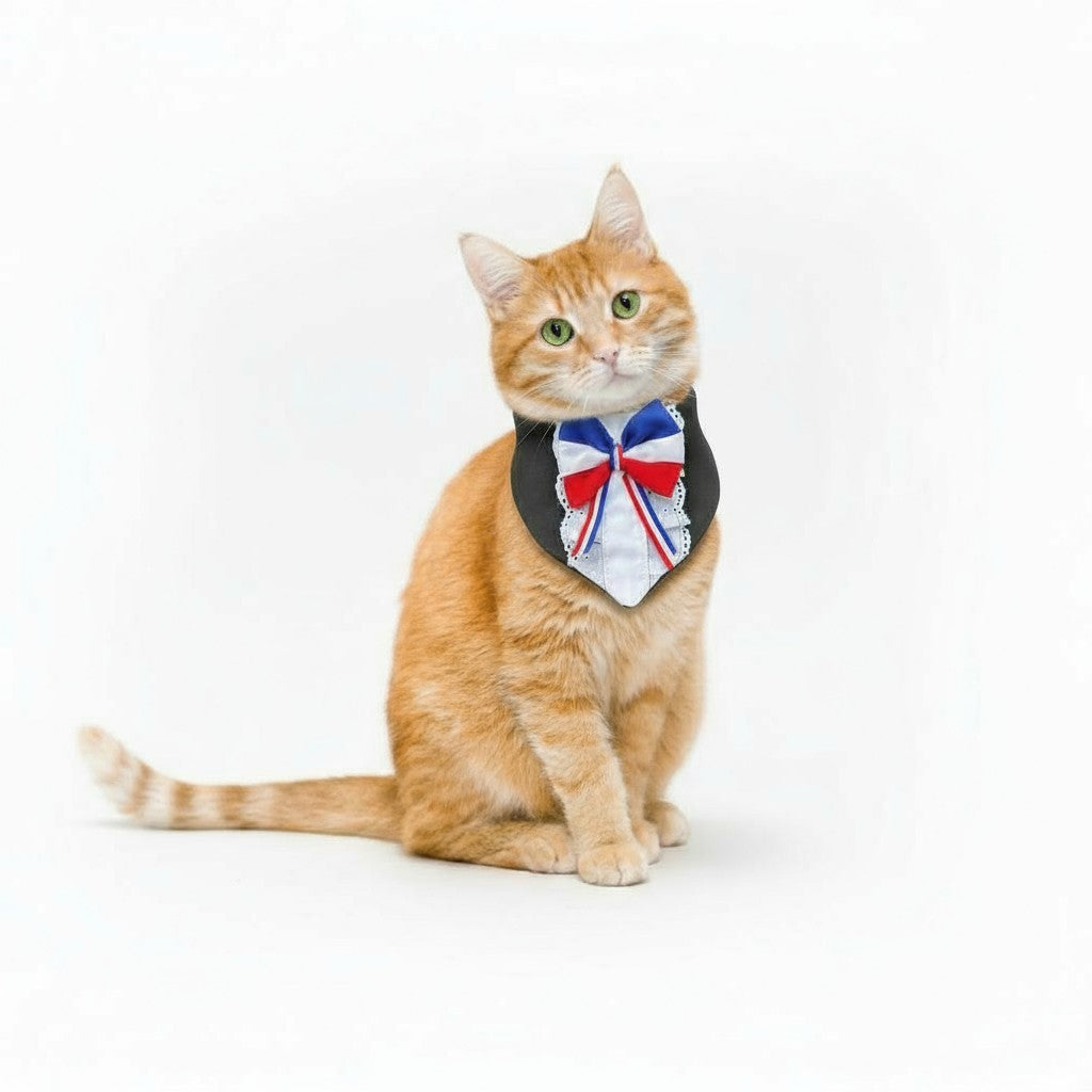 Bandanda Perra- Gata Huasa Elegante