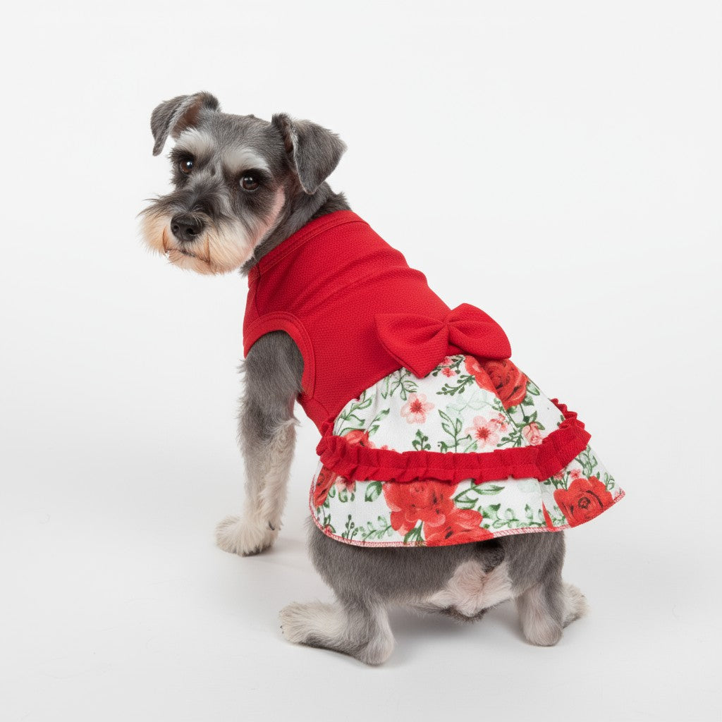 Vestido Huasa Mascota